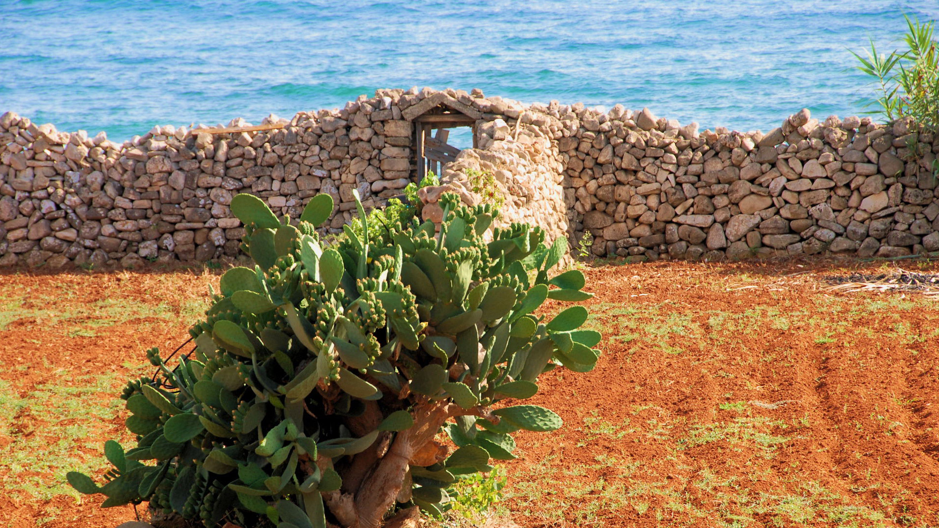I 10 luoghi da non perdere in Puglia