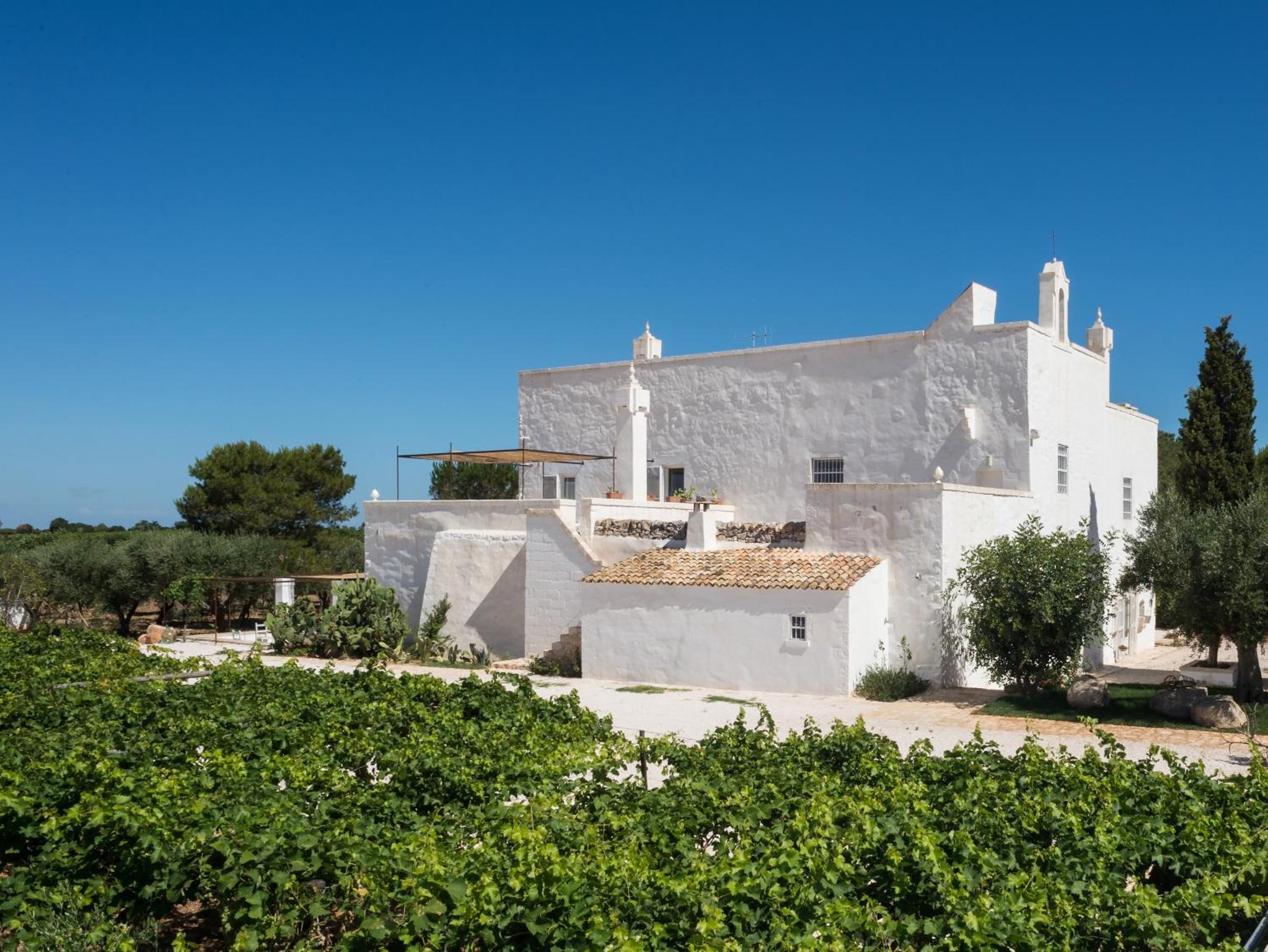 Masseria Le Cerase — facade and vineyards